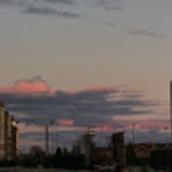 Meet your Posher, Daniella - Picture 1 of 1